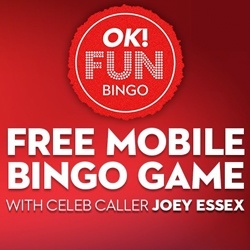 free mobile bingo game