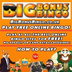 big bonus bingo