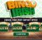 Bingo Irish bingo site
