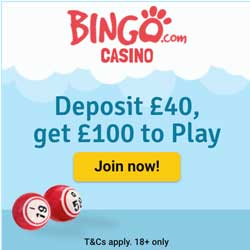 bingo.com sign up bonus
