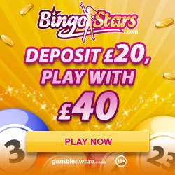 bingo stars casino