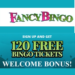 Fancy bingo site