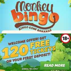 Monkey bingo site