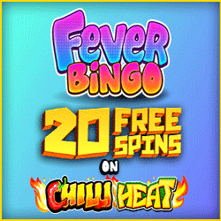 Fever Bingo Big Bonus Bingo