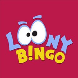 Loony bingo site