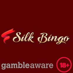 silk bingo big bonus bingo
