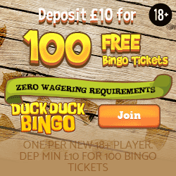 Duck Duck Bingo Big Bonus Bingo